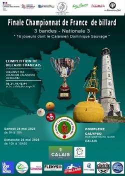 Carambole - championnat de France 3 bandes national 3