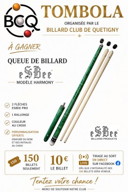 Le Billard Club de Quetigny lance une tombola pour soutenir son équipe de 3 Bandes – Fédérale 1