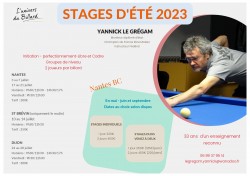 Stage d'été de billard français par Yannick Le Grégam