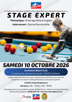 Stage Expert - Arbitrage Billard Anglais